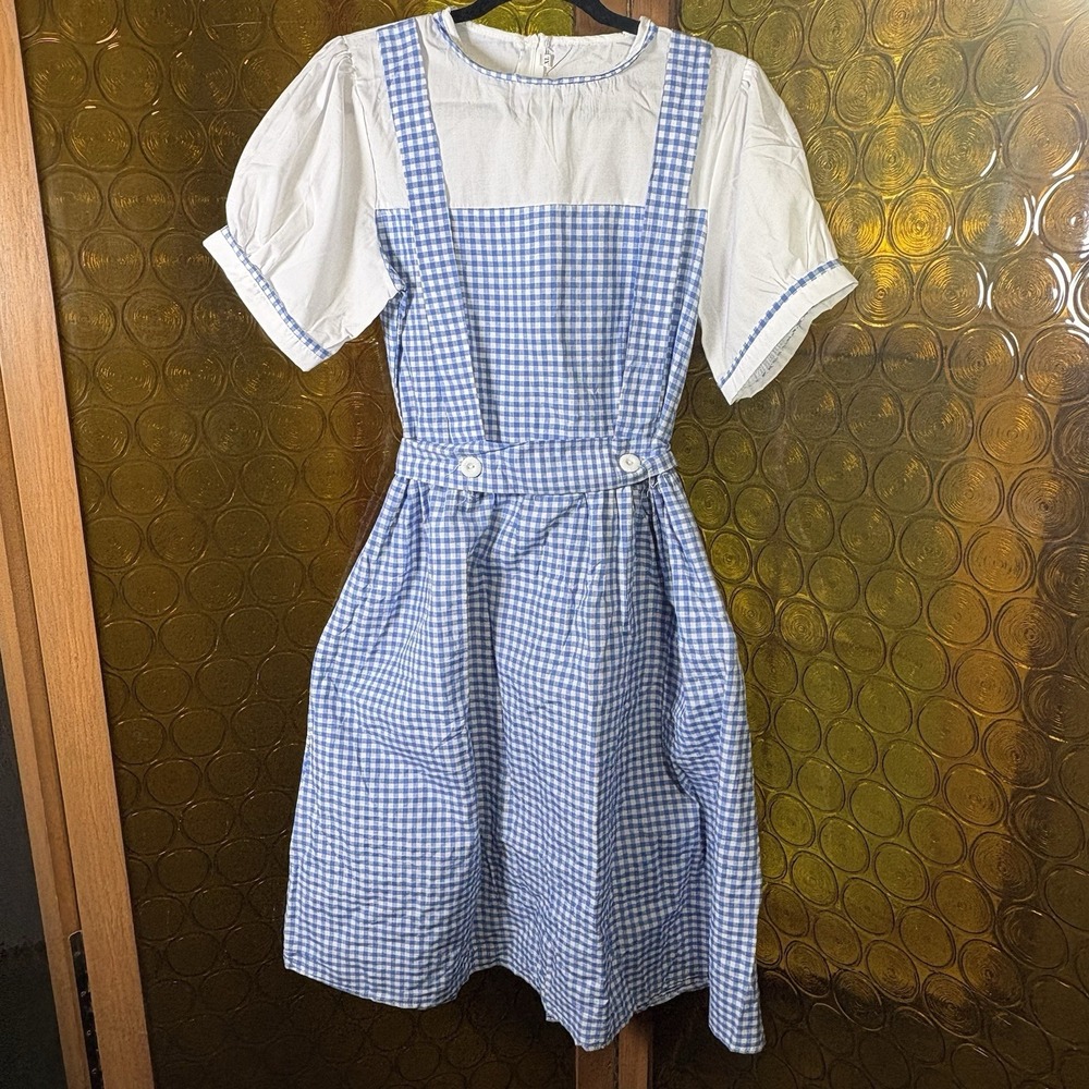 Wizard Of Oz Dorothy Costume Outfit Blue White Gingham Dress Teen Kid Sz XL